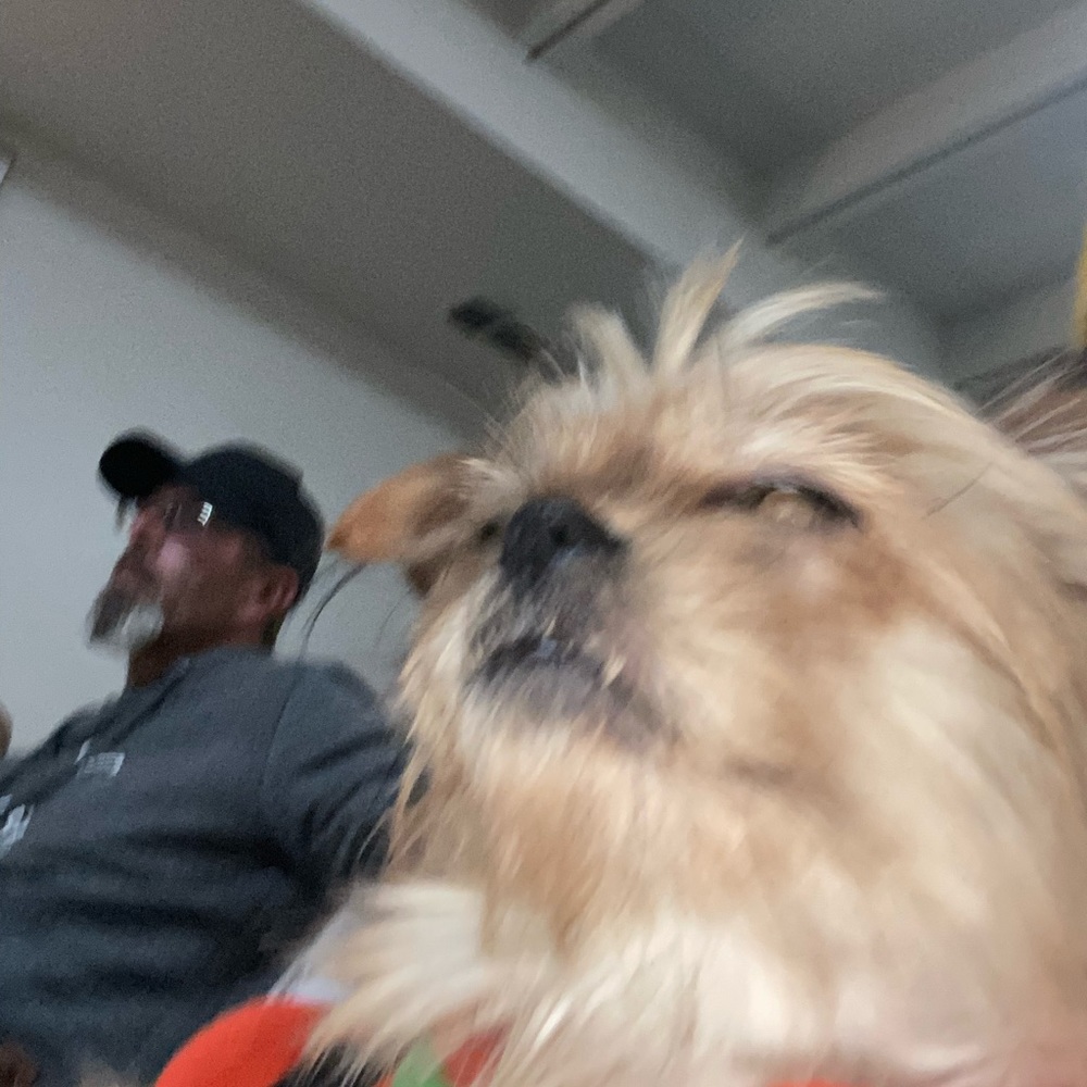 Meet your Posher, Maddy